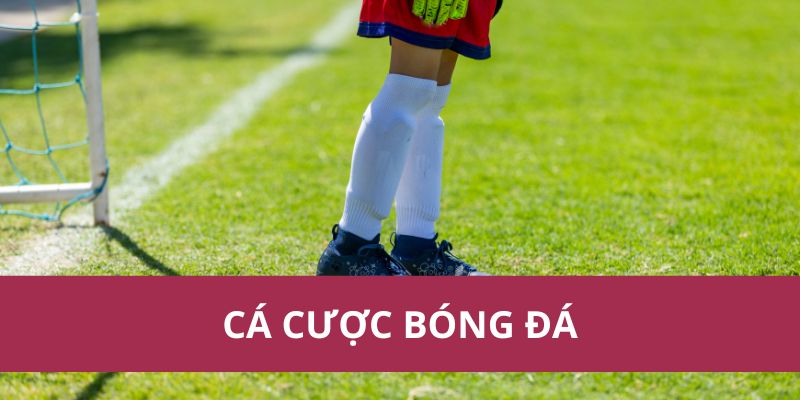 Hướng Dẫn Cá Cược Bóng Đá Chi Tiết Và Chính Xác Nhất 2025 