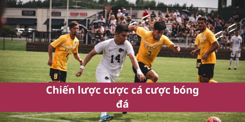 Chiến lược cược cá cược bóng đá