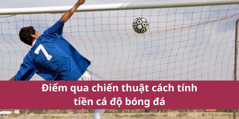 Điểm qua chiến thuật cách tính tiền cá độ bóng đá